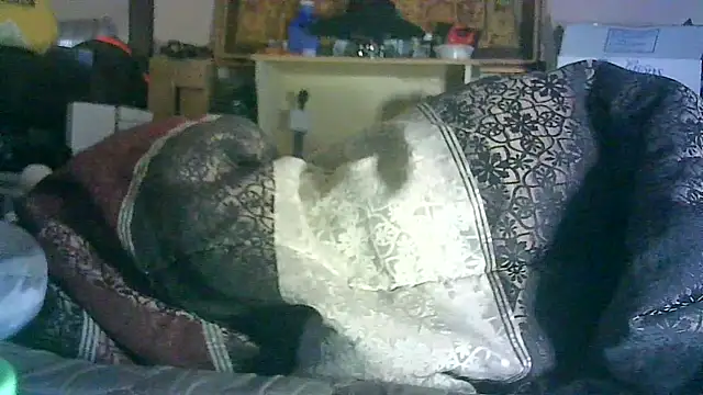 ON3YOULLN3VER_FIR3 webcam