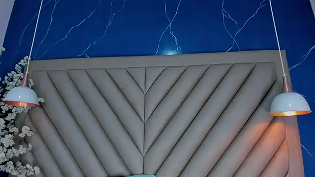 Ibbie_drastic webcam