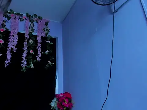 nicolfontana_ webcam