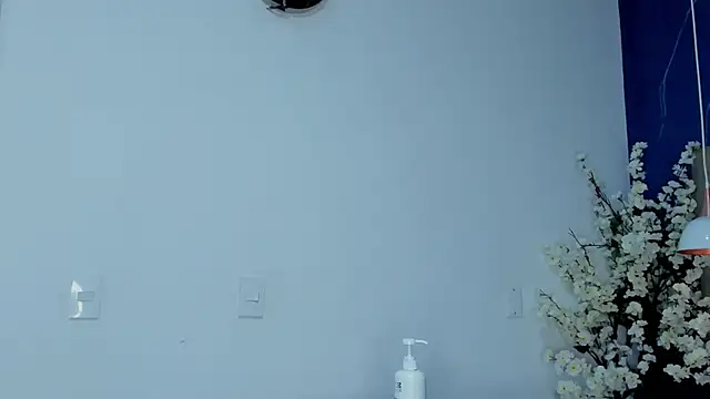 Ibbie_drastic webcam