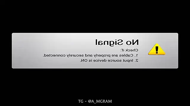 disco_elysium webcam