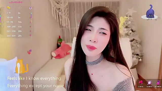 Vaidurya-Yolo webcam