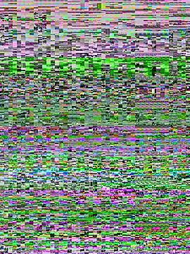 maisa_issa (F young) - GET NAKED AND PLAY WITH MY BODY