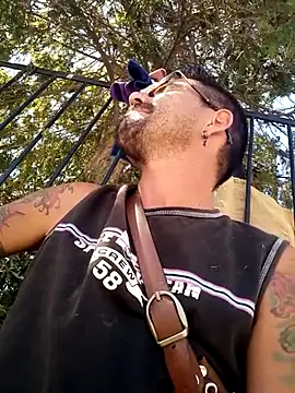 Lionardovssf35 webcam