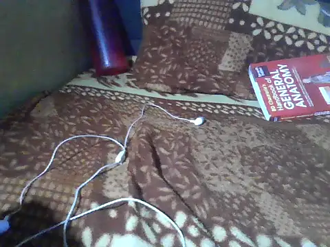 Stubborndesiboy webcam