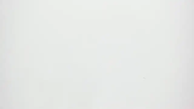 Candy_And_Andy_ webcam