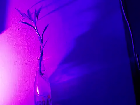 aria_jhonsson (F young) - Striptease and masturbation💦