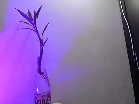 aria_jhonsson webcam