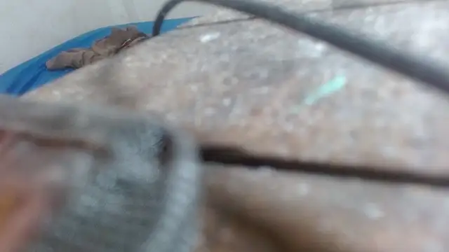 the_breasts_of_desir_ webcam