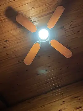 bbzinharosa xxx live show