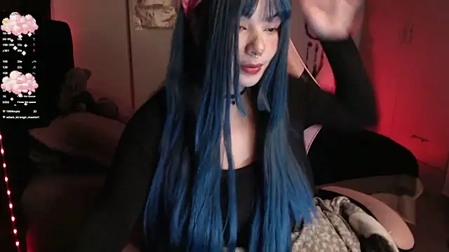 Theprojectsaraa webcam