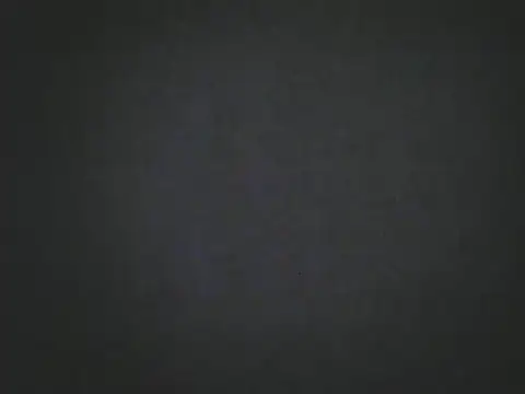 TheBunnyAndTheMaster