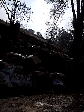 omai-ngot - Omai-ngot's free webcam