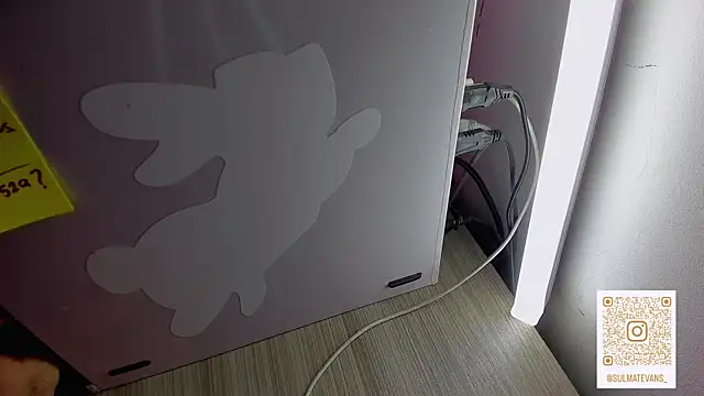 _sulmatevans_ webcam