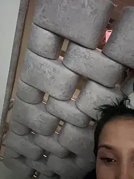 SpinningDomestic webcam