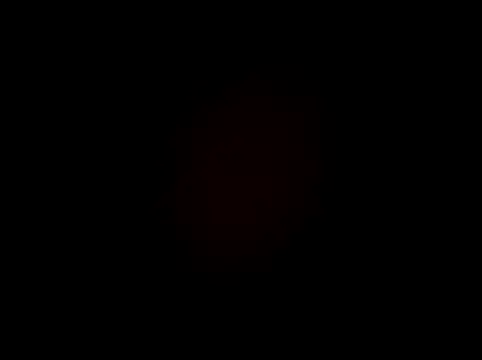 Mariana08andDiego webcam