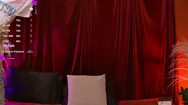 VicenteFerrer webcam