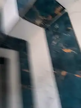 SilentIncoming webcam