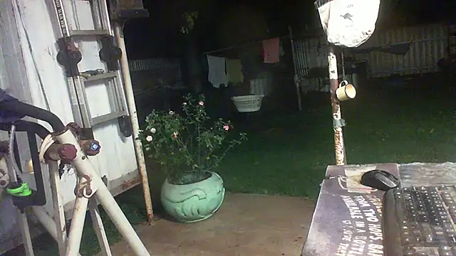 herbie010666 (M mature) - NAKED