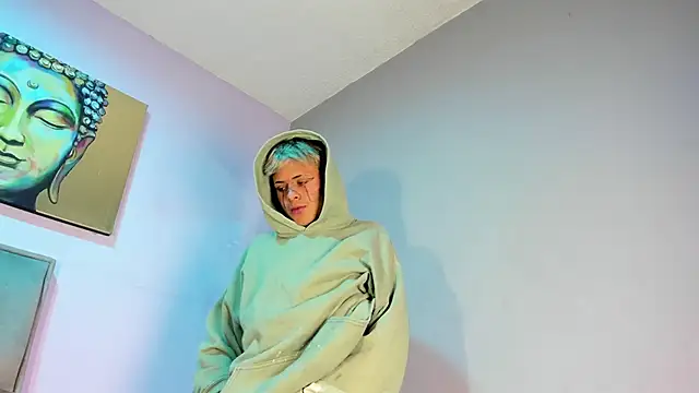 Heiden-Stiven webcam