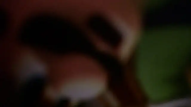 Stefany_Andruw webcam