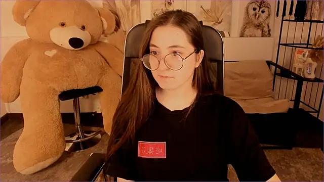 VirtuallVoyant webcam