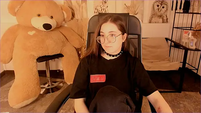 VirtuallVoyant webcam