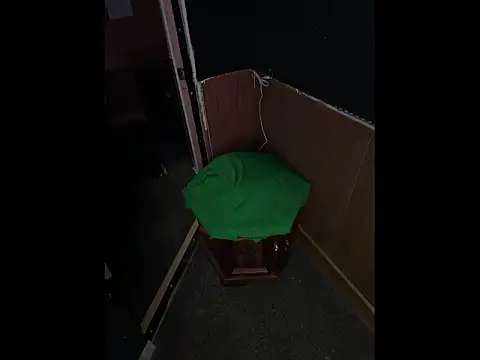 Pussyismyfavoritetaste