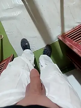 GeilerSchweizer webcam