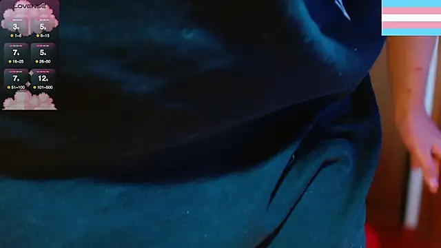 Hgp3riodictabl3 webcam