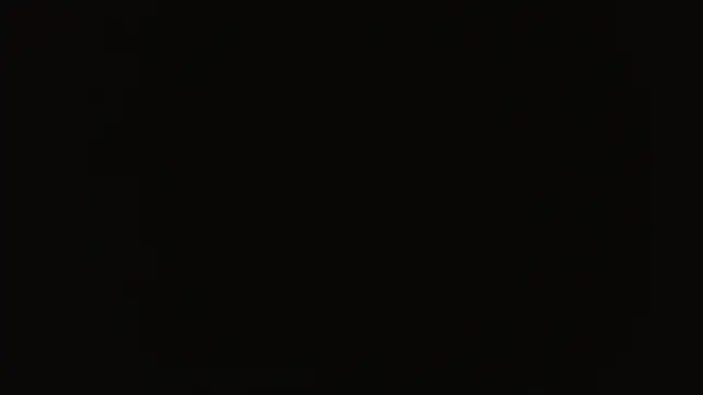 HARRY_RAMIREZ webcam