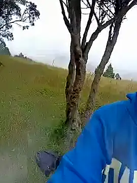 Cuervo_maniaco webcam