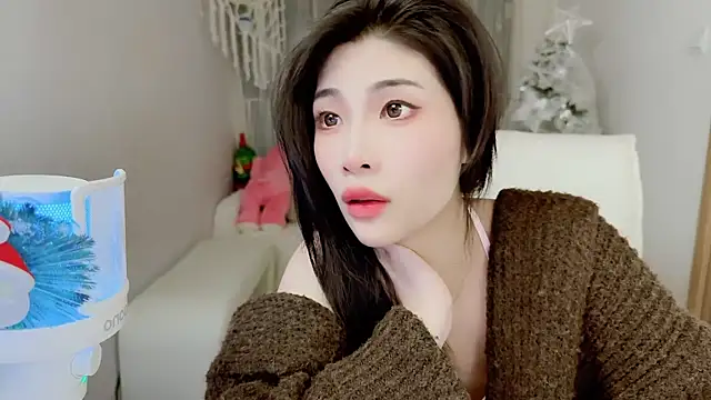 Vaidurya-Yolo webcam