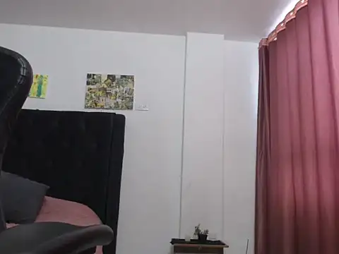 Fleurmeyer79 webcam