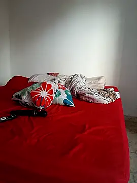 LEIRIS_Y_FRED_01 webcam