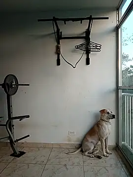 LEIRIS_Y_FRED_01 webcam