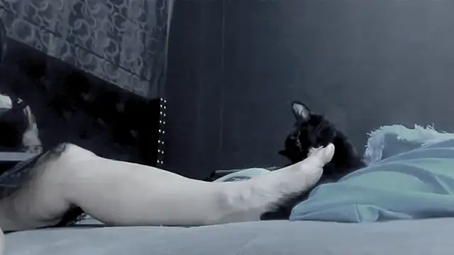 amareto_queen webcam