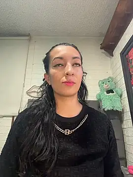 SALOME_KORLAND webcam