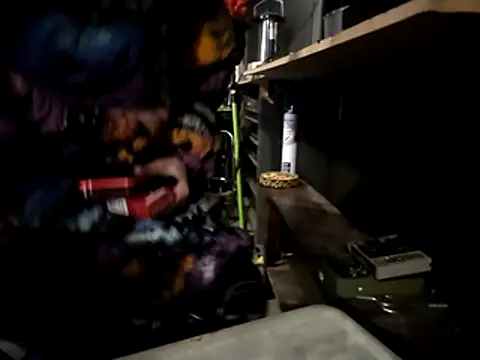 thejuicybacon webcam