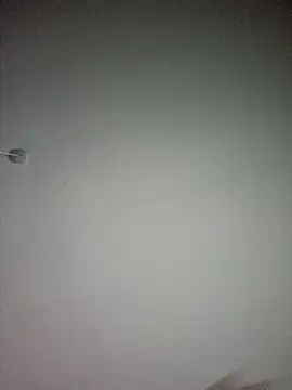 Preview of playfulcubb