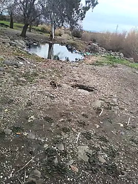 costt2 - Costt2's free webcam - UK Sex Cams