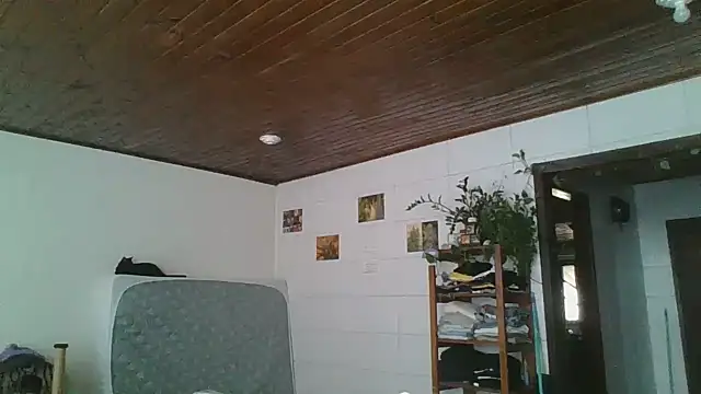 SweetyBabyDemon webcam