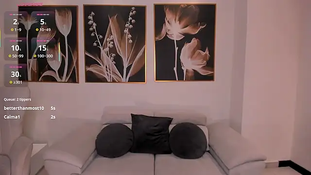 BellaCarteer_ webcam