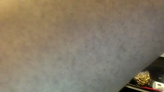 Maculine_Stayr webcam