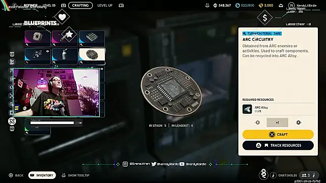 Nerdylilbirdie webcam