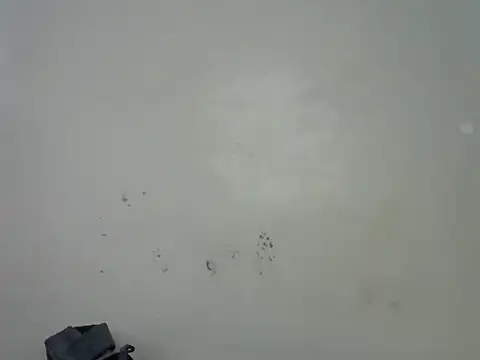 Rasta_tattooed webcam