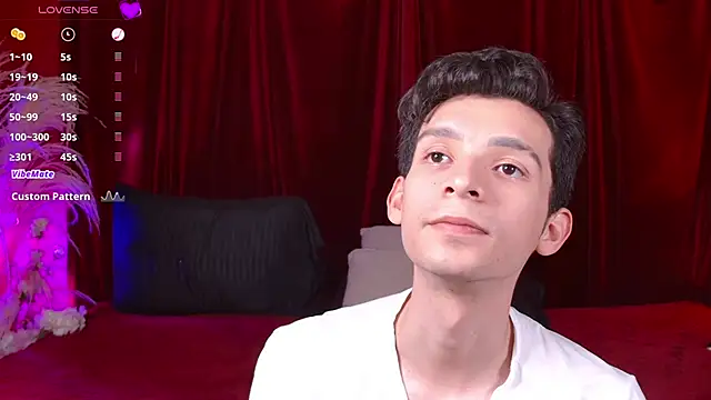 Preview of vicenteferrer