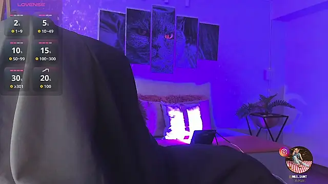 Nils_saintt webcam