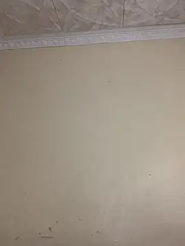 Webcam Model (Lady-Amina)  is live.Free join now!