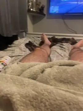 Preview of harrygeorge18